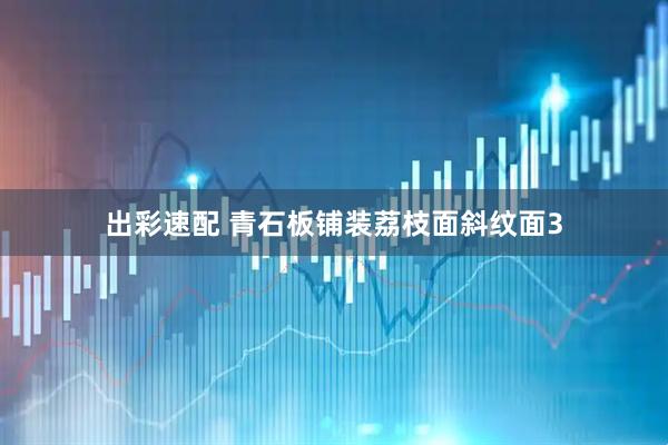出彩速配 青石板铺装荔枝面斜纹面3