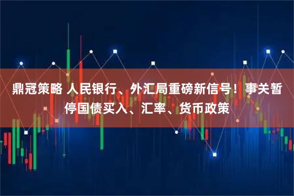 鼎冠策略 人民银行、外汇局重磅新信号！事关暂停国债买入、汇率、货币政策