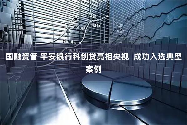 国融资管 平安银行科创贷亮相央视  成功入选典型案例
