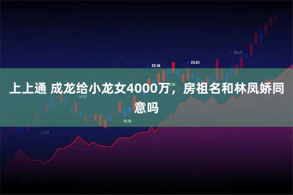 上上通 成龙给小龙女4000万，房祖名和林凤娇同意吗