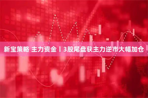 新宝策略 主力资金丨3股尾盘获主力逆市大幅加仓